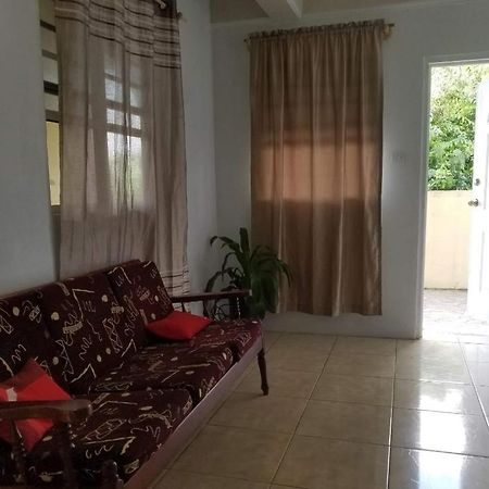 Corosol Apartments Roseau Kültér fotó